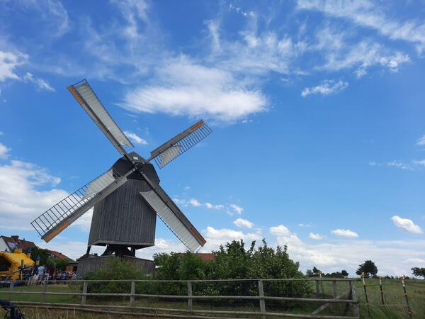 Bild vergrößern: Die Bockwindmühle - Wahrzeichen der Gemeinde Dettum