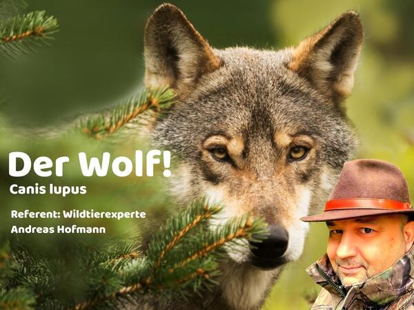 Referat Wolfsbeauftragter Andreas Hofmann